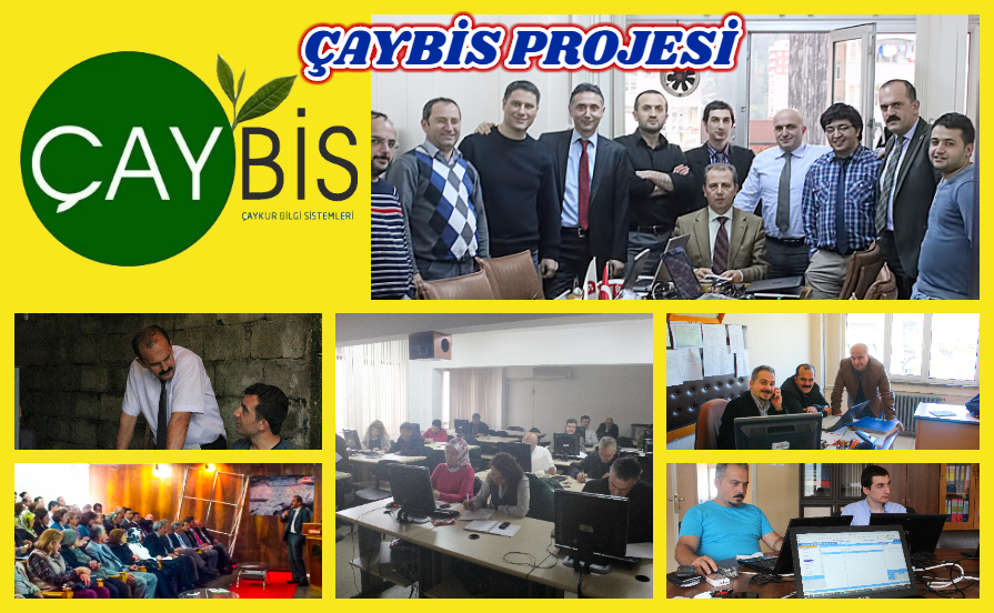 Çaybis Projesi