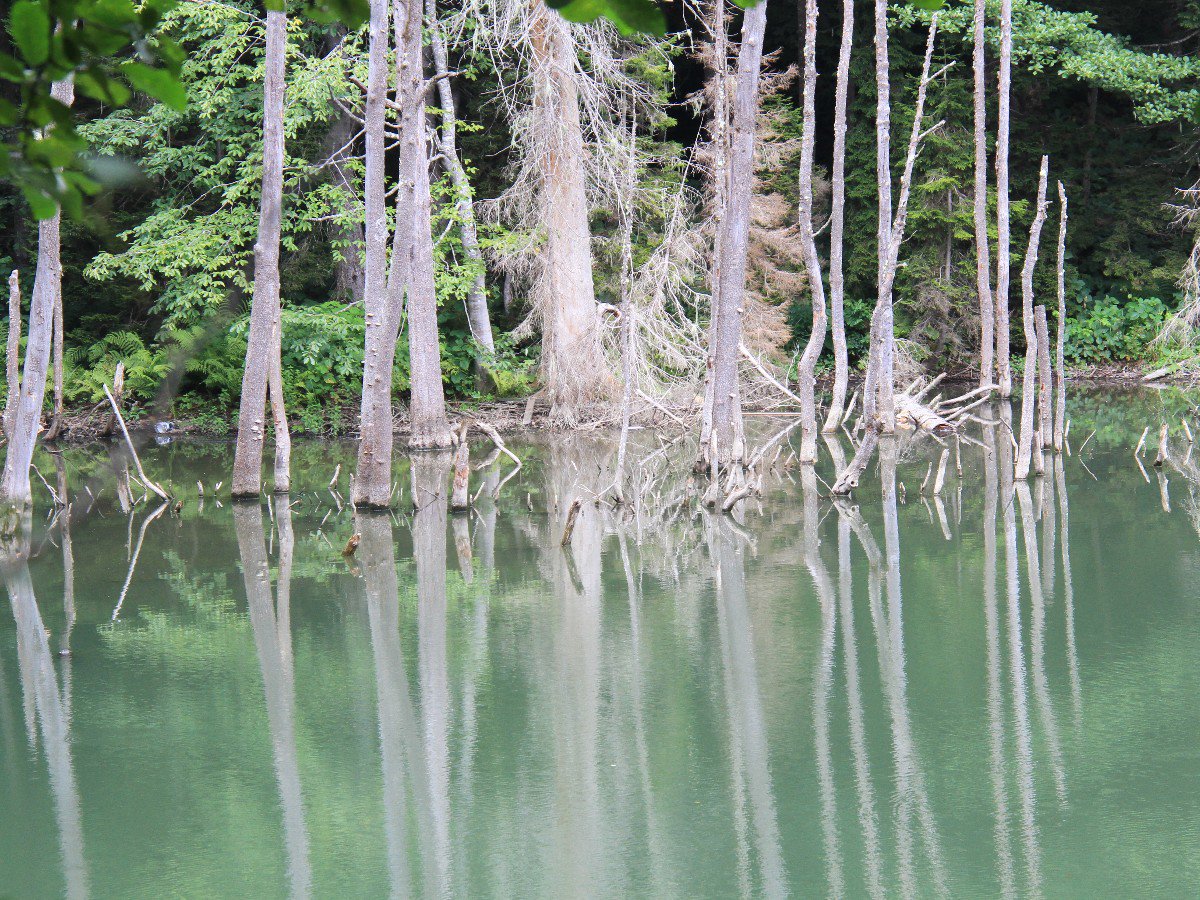 Karagölde Beyaz Gölgeler