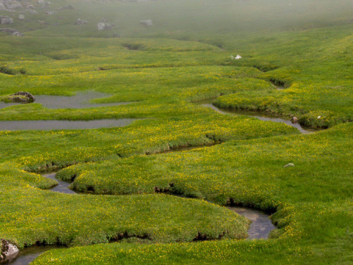 Koçdüzü Yaylası Menderesi