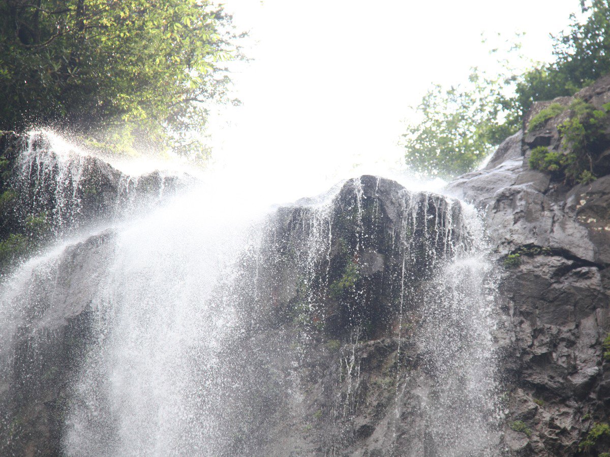 Mençuna - Doğanın serinliği