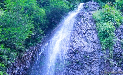GEÇAÇĞALONİ