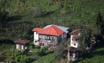 Arılı Köyü