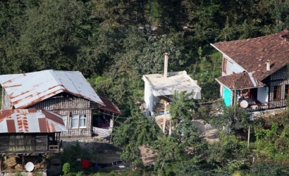 Arılı Köyü