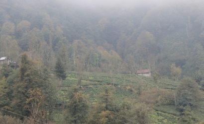 Kfarbe / Kfarbe