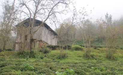 Kfarbe / Kfarbe
