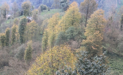 Kfarbe / Kfarbe