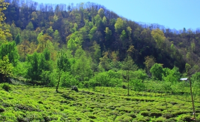Kfarbe / Kfarbe