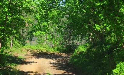 Kfarbe / Kfarbe