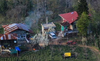 Arılı köyünden