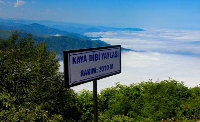 Siprona Kayadibi Yaylası