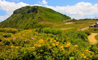 Siprona Kayadibi Yaylası