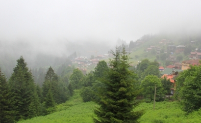 Ayder Yaylası