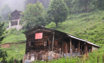 Ayder Yaylası