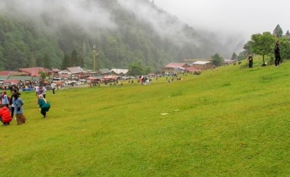 Ayder Yaylası