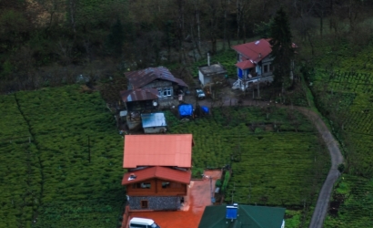 Bulako
