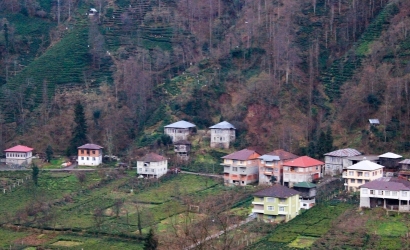 Bulako