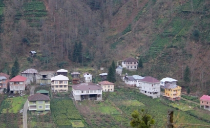 Bulako