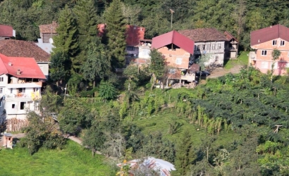 Bulako