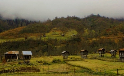 Deremezra Yaylası