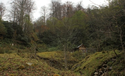 Deremezra Yaylası