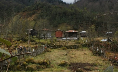 Deremezra Yaylası