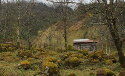 Deremezra Yaylası