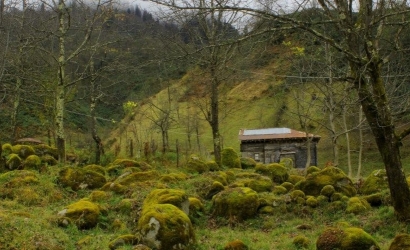 Deremezra Yaylası