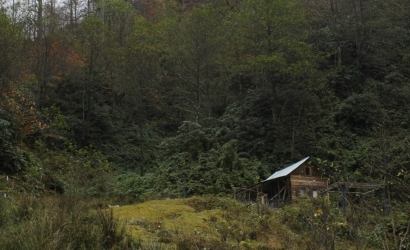 Deremezra Yaylası