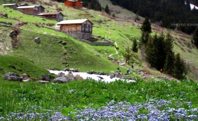 Elevit Yaylası
