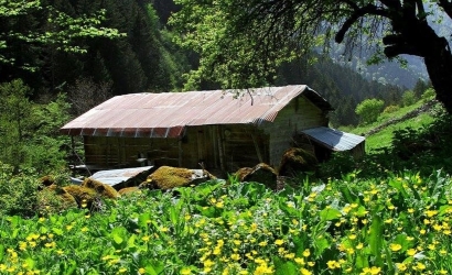 Elevit Yaylası