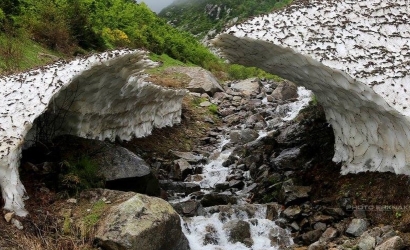 Elevit Yaylası