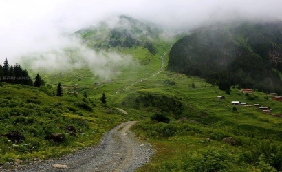Elevit Yaylası
