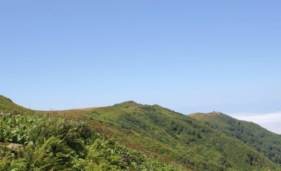 Kayadibi Yaylası