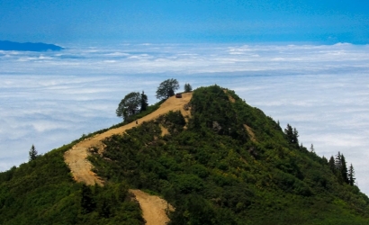 Kayadibi Yaylası