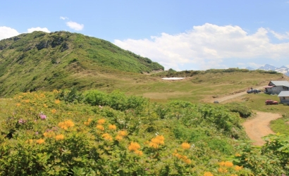 Kayadibi Yaylası