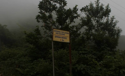 Kayadibi Yaylası