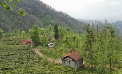 Kfarbe