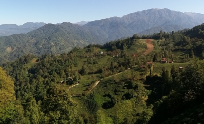 Kfarbe