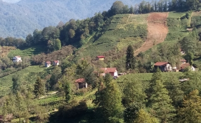 Kfarbe
