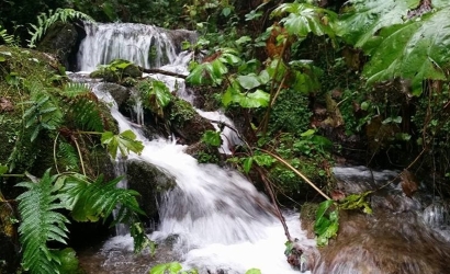 Kfarbe