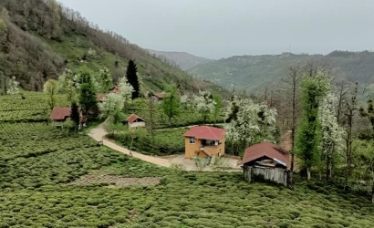 Kfarbe