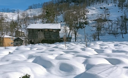 Kfarbe