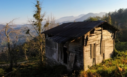 Arılı köyünden