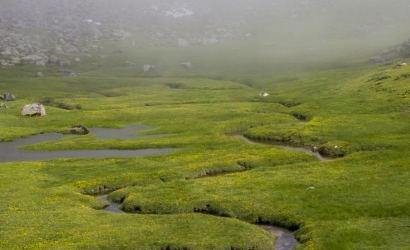 Koçdüzü Yaylası