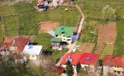 Pisxala karışık