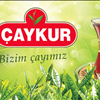 Çaykurun Türkiye Ekonomisi İçin Önemi