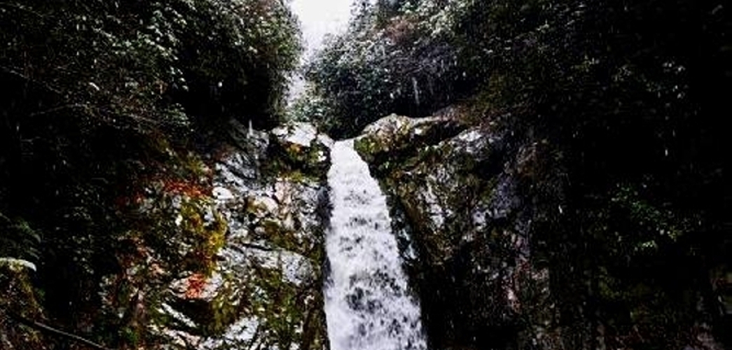 Akyamaç (Tecina) Şelalesi