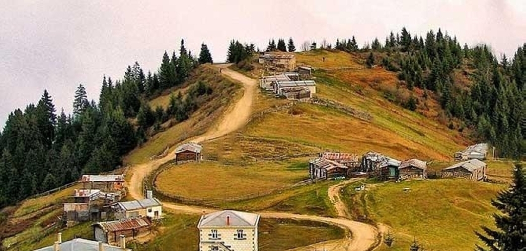 Mahura Yaylası (Büyük Yayla)