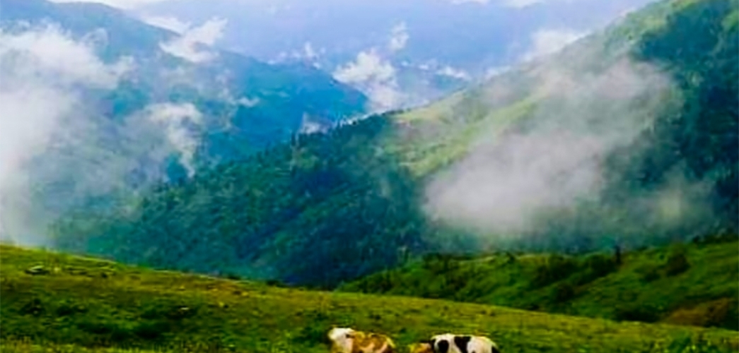 Karos Yaylası