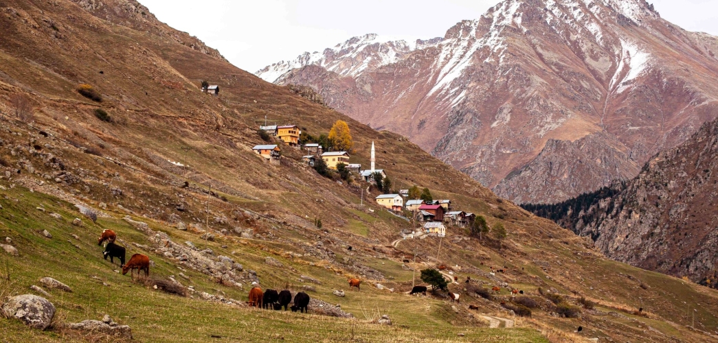 Başköy (Ortaklar) Yaylası